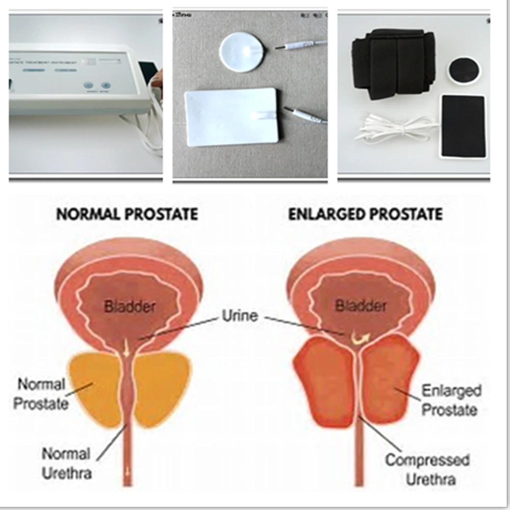Alat Terapi Magnetik Getaran P - Therapy Health And Wellness ulasan dan harga