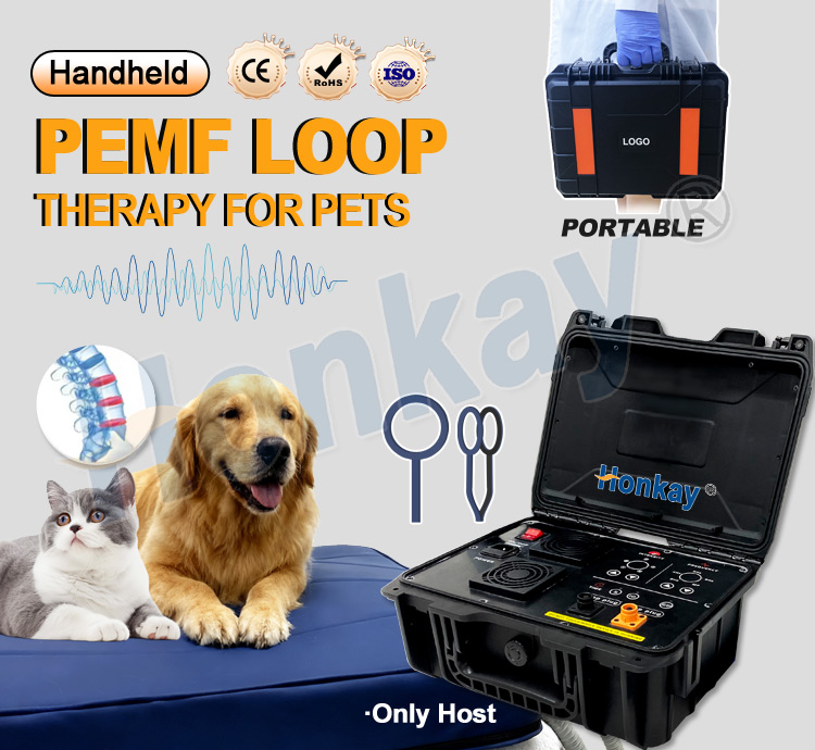 Perangkat Perawatan Hewan Peli - Therapy Health And Wellness ulasan dan harga