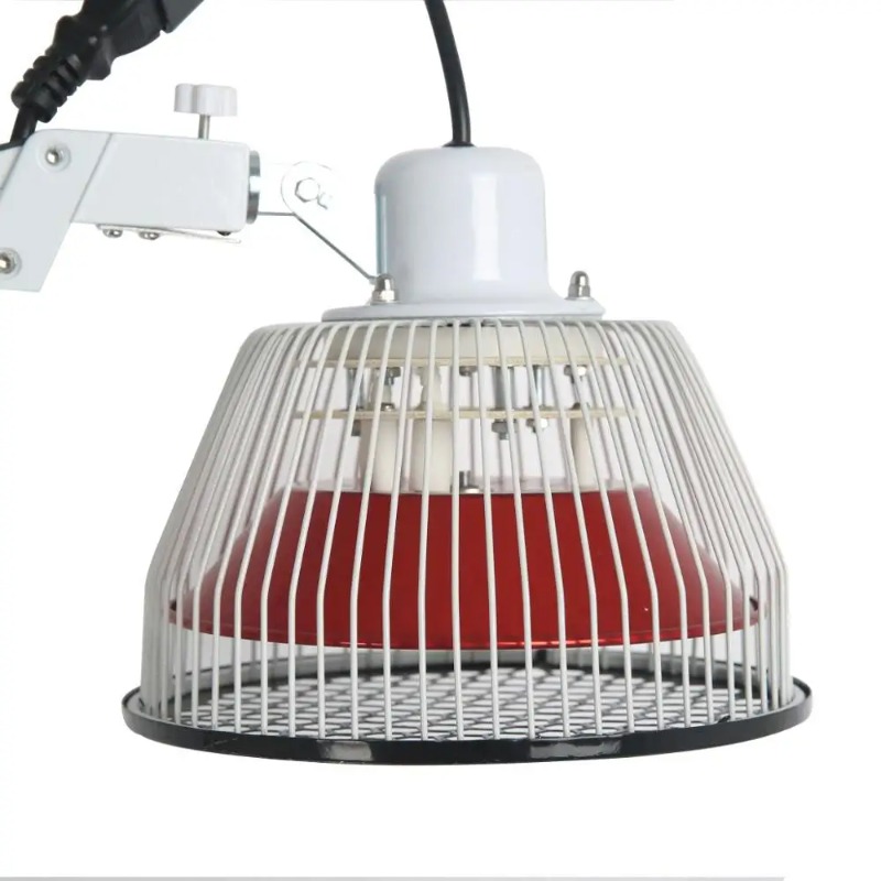 Lampu TDP Tradisional Cina, Pe - Therapy Health And Wellness ulasan dan harga